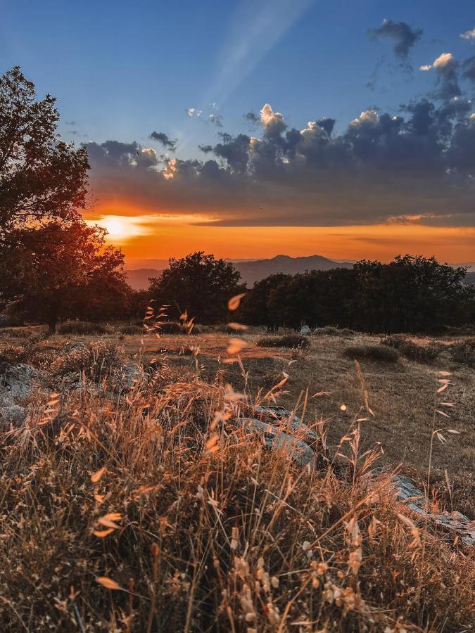 Casa Masini Bed & Breakfast Fonni Dış mekan fotoğraf
