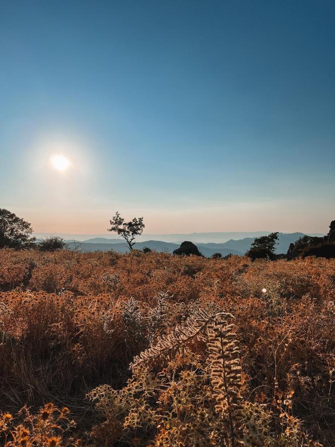 Casa Masini Bed & Breakfast Fonni Dış mekan fotoğraf